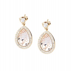 Brosway Ladies Earrings Tear BTX22