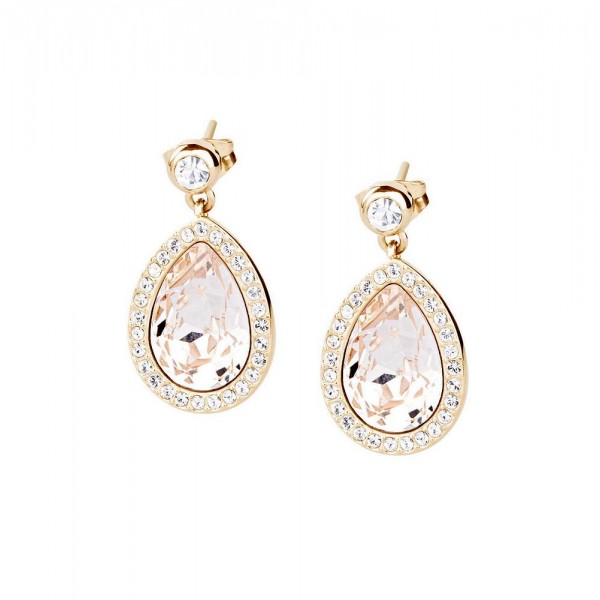 Buy Brosway Ladies Earrings Tear BTX22