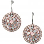 Boucles d'Oreilles Femme Fossil Vintage Glitz JF01737791 Acheter Boucles d'Oreilles Femme Fossil Vintage Glitz JF01737791