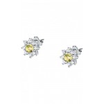 Image of Morellato Tesori Ladies Earrings SAIW188