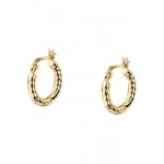 Image of Morellato Tesori Ladies Earrings SAIW252