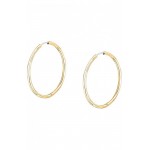 Image of Morellato Creole Ladies Earrings SAUP26