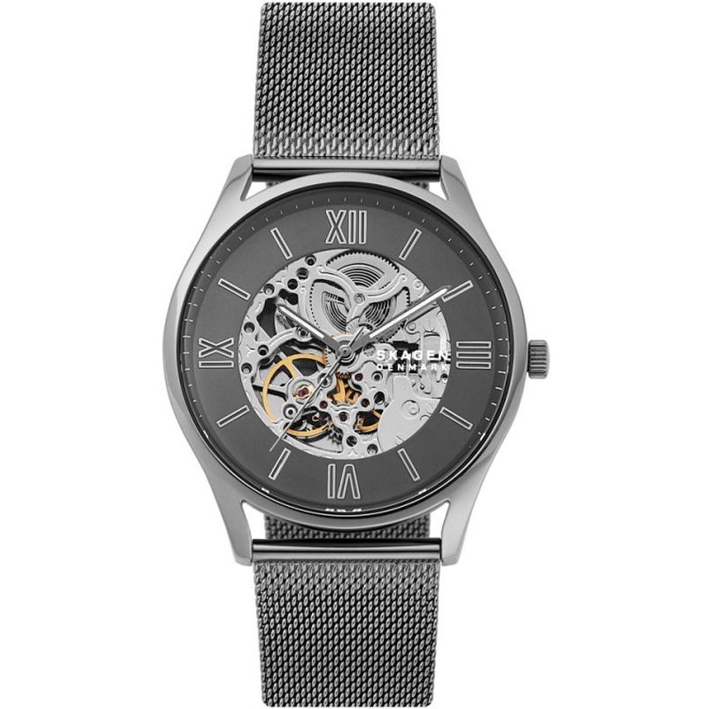 Mens skagen watch sale best sale